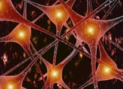 درمان بیماری های عصبی با یاری یک الکترود قابل تزریق
